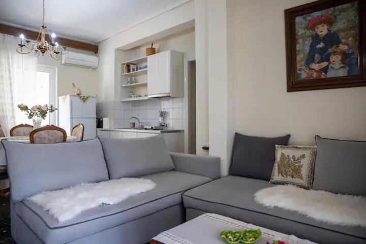 Loft House Trikala Apartment Ngoại thất bức ảnh