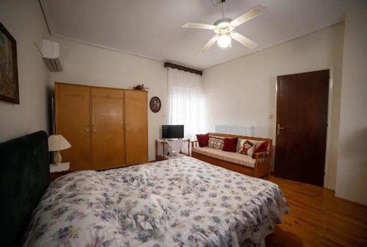 Loft House Trikala Apartment Ngoại thất bức ảnh