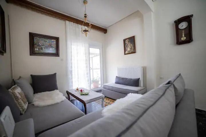 Loft House Trikala Apartment Ngoại thất bức ảnh